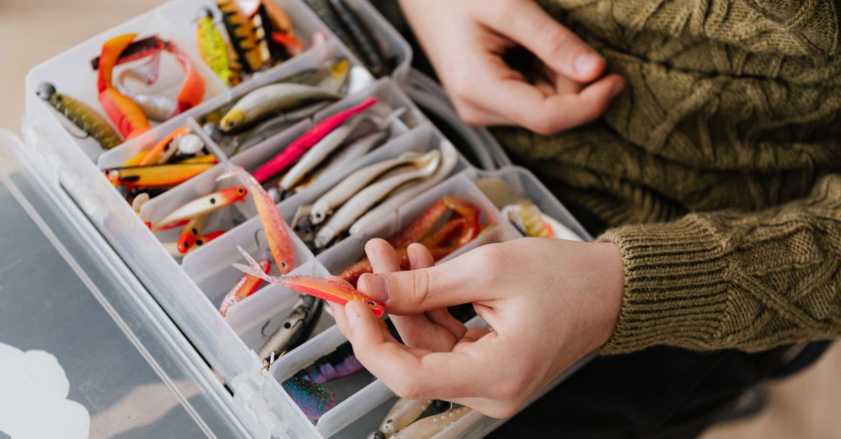 Hand selecting fishing lure from organized plastic container filled with assorted bait.
